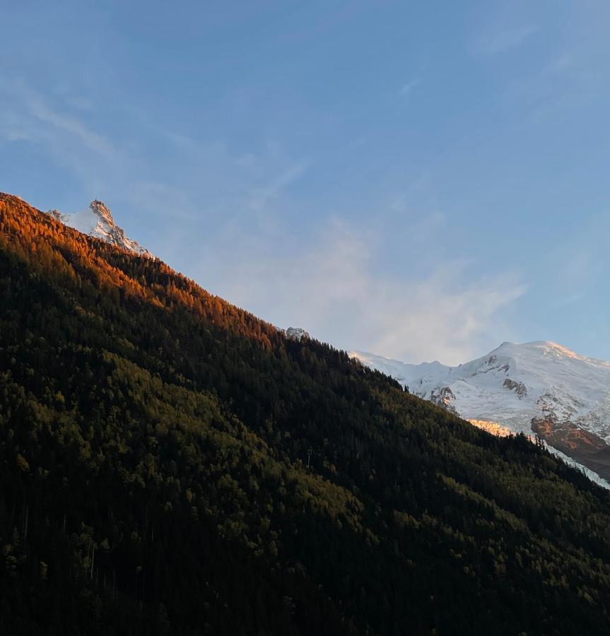 Center & Unique Mountain View Daire Chamonix Dış mekan fotoğraf