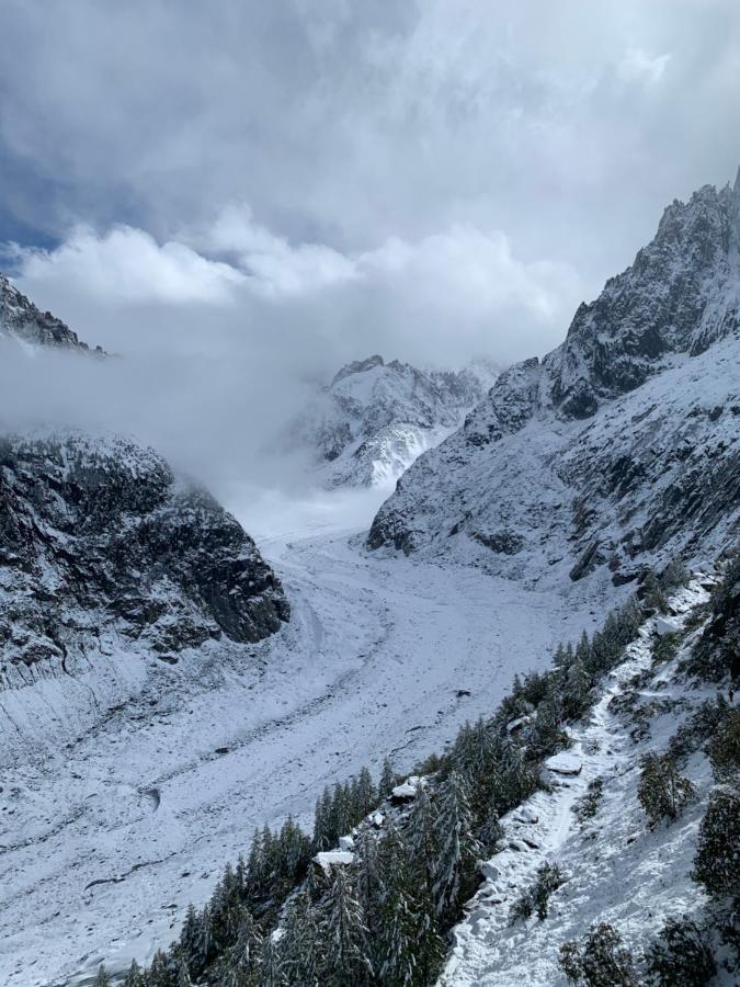 Center & Unique Mountain View Daire Chamonix Dış mekan fotoğraf